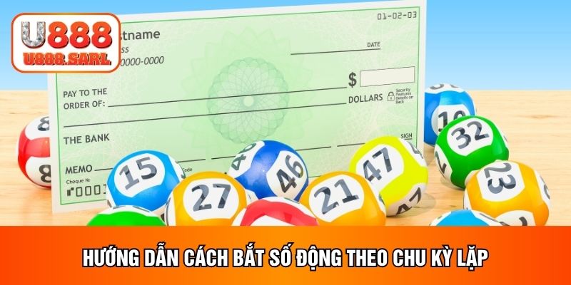 Hướng dẫn cách bắt số động theo chu kỳ lặp
